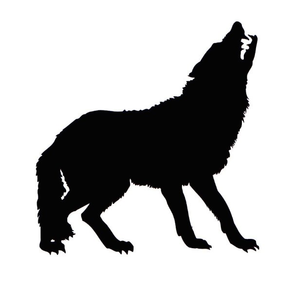 Тень волка на прозрачном фоне