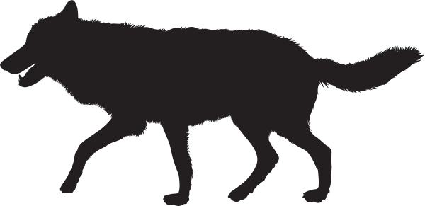 Очертание волка
