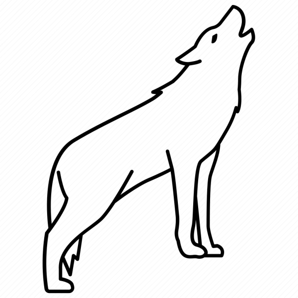 Волк контур