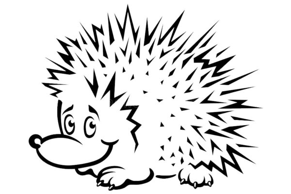 Ежик черно белый