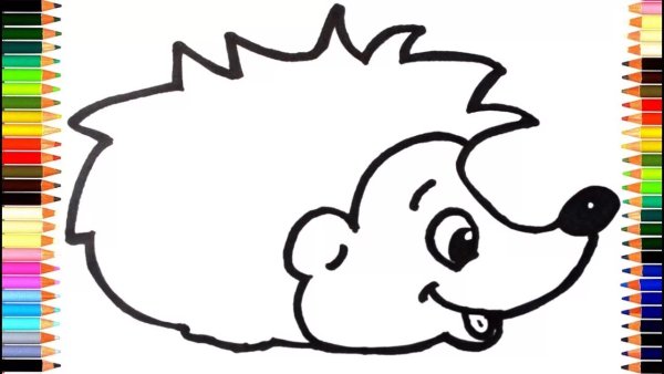 Картинка Ёжика для детей раскраска