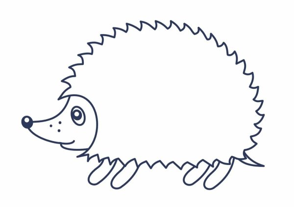 Раскраска Ёжик