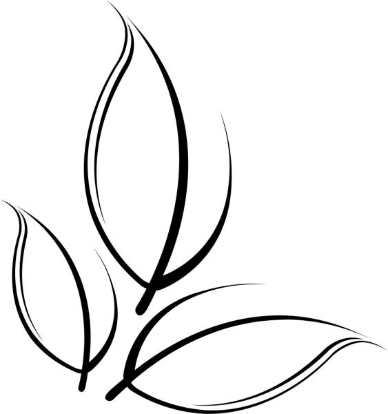 Листик вектор