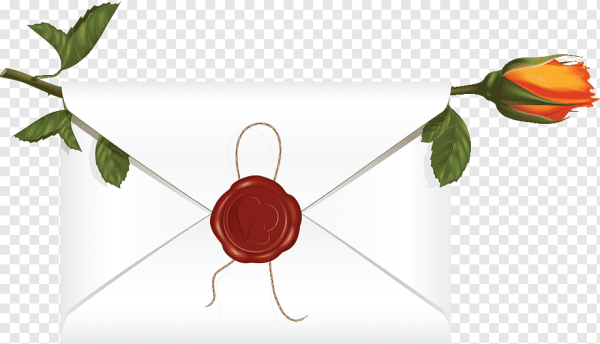 Конверт прозрачный для цветов