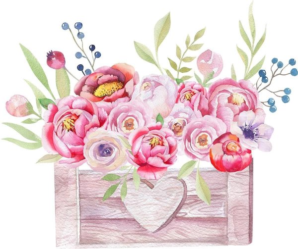 Букет цветов иллюстрация