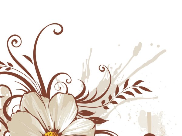 Узоры цветы на белом фоне