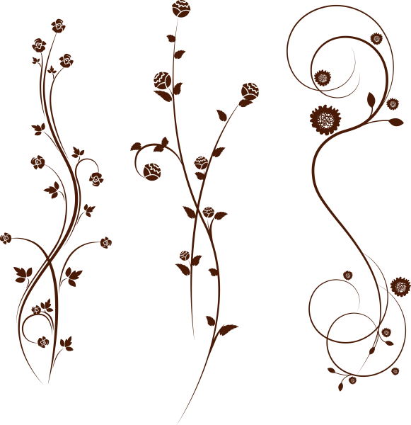 Орнамент ветки