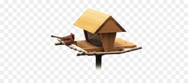 Кормушка для птиц на прозрачном фоне