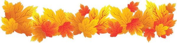 Гирлянда из осенних листьев на прозрачном фоне