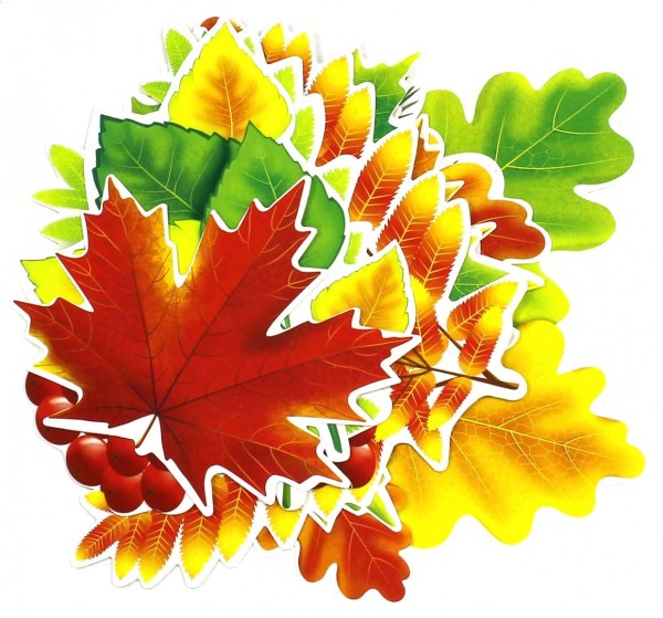 Набор украшений на скотче осенние листья