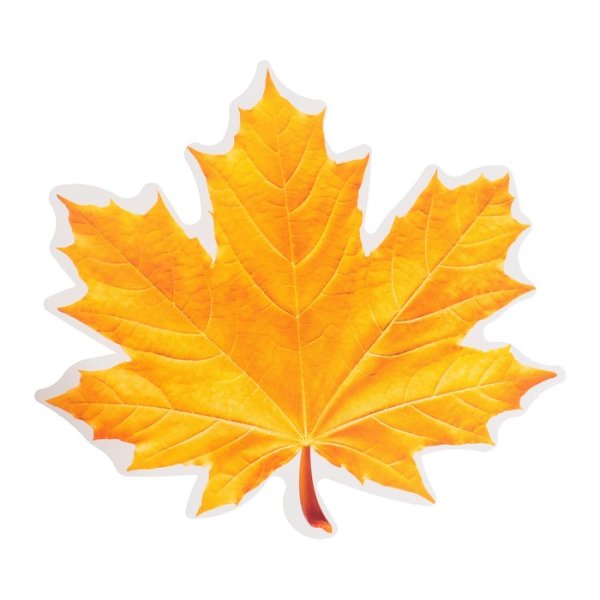 Красивые осенние листочки