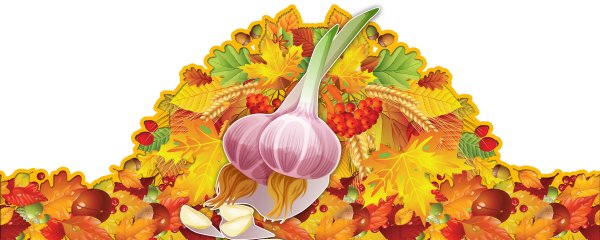 Маски для осеннего праздника овощи