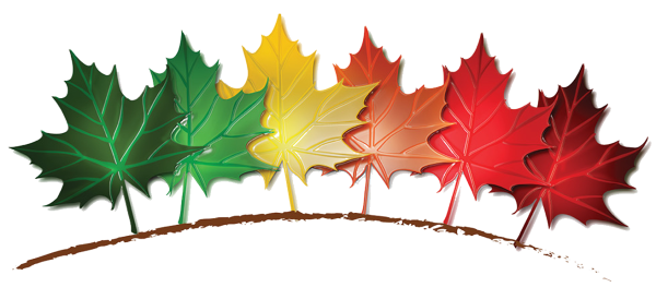 Кленовые листья полоска