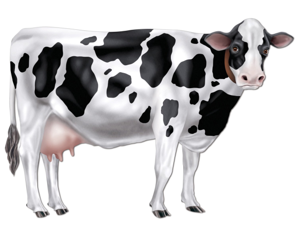 Корова без фона