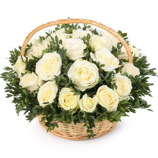 Корзина из белых роз
