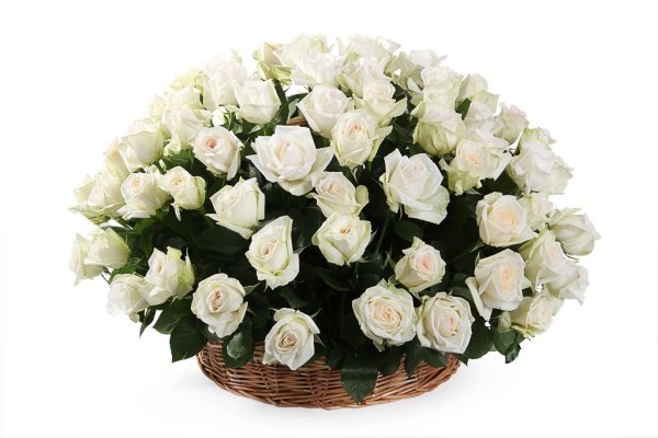 Вайт Охара в корзине