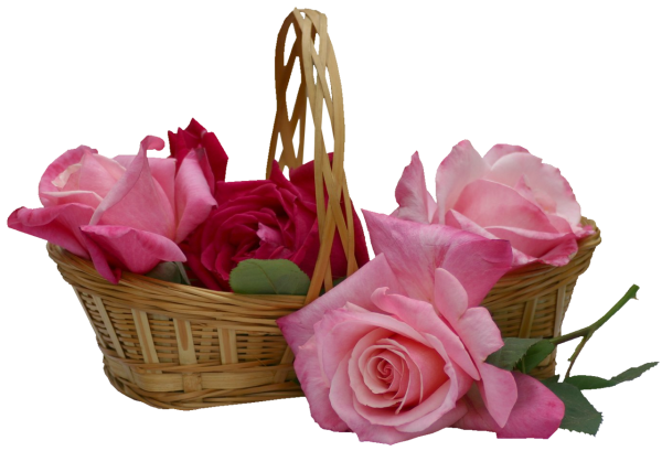 Корзина роз клипарт