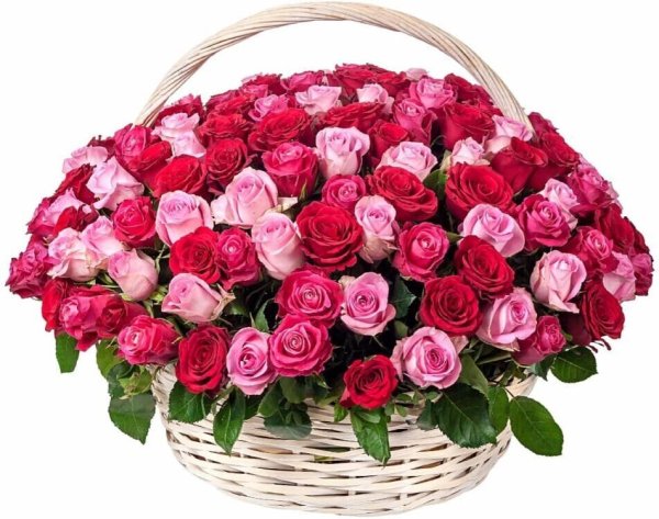 Красивый букет роз