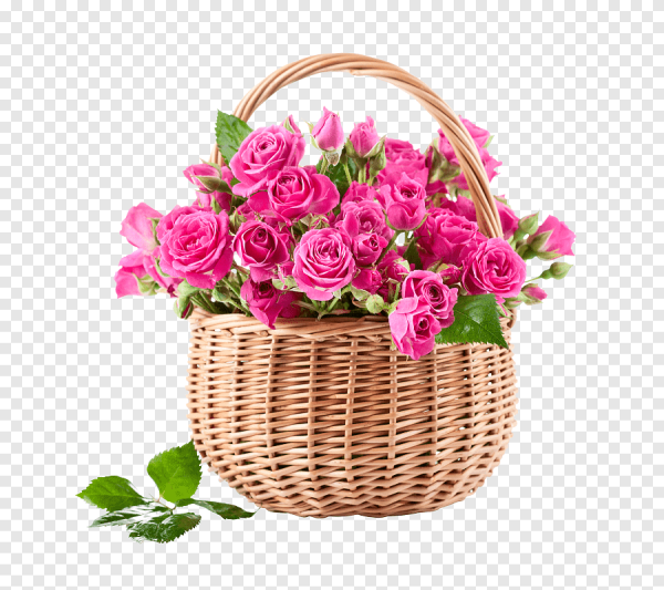 Корзина роз на белом фоне