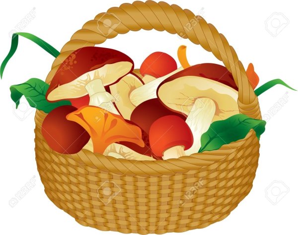 Корзинка для грибов для детей