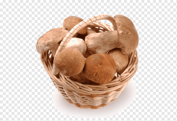 Корзина с грибами на белом фоне