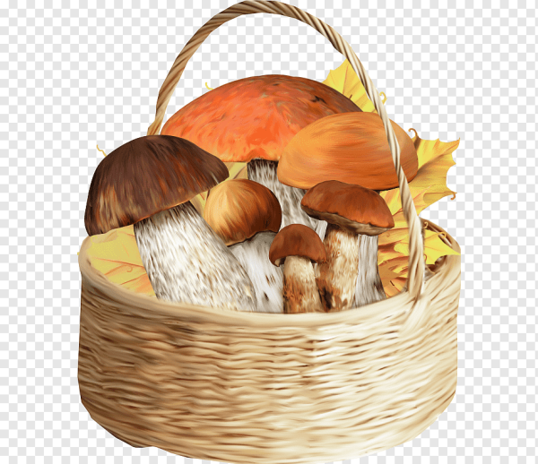Корзина для грибов для детей