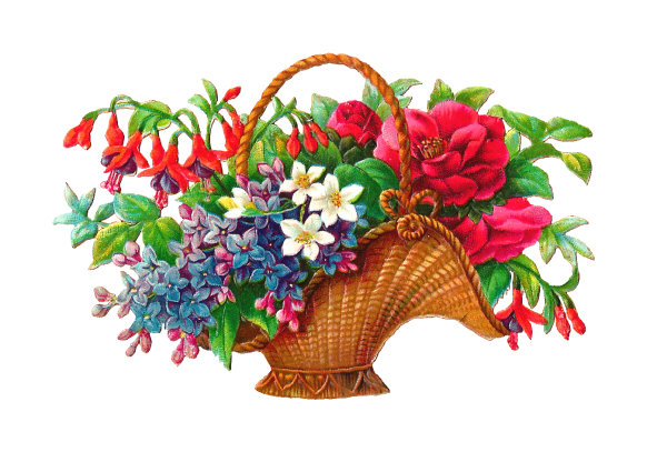 Корзина с цветами рисунок