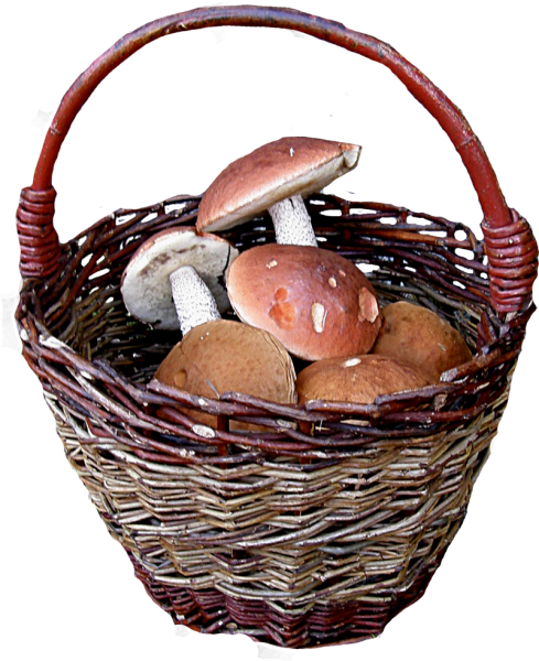 Корзинка для грибов