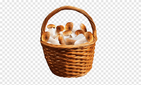 Корзина с грибами