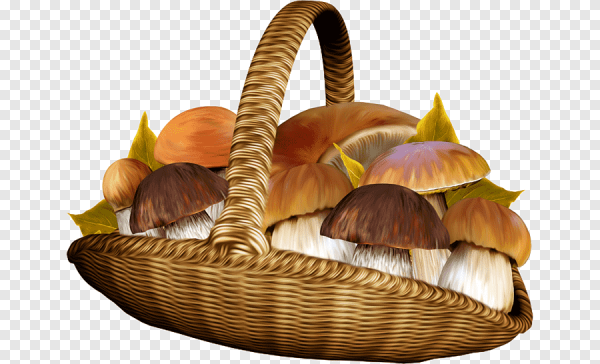 Корзина с грибами на прозрачном фоне
