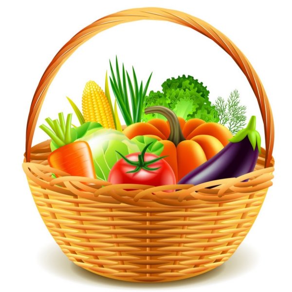 Корзина с овощами векторное