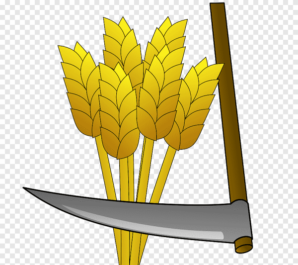 Коса инструмент сельское хозяйство