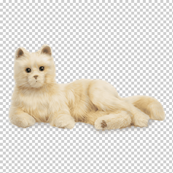 Игрушки для кошек на прозрачном фоне