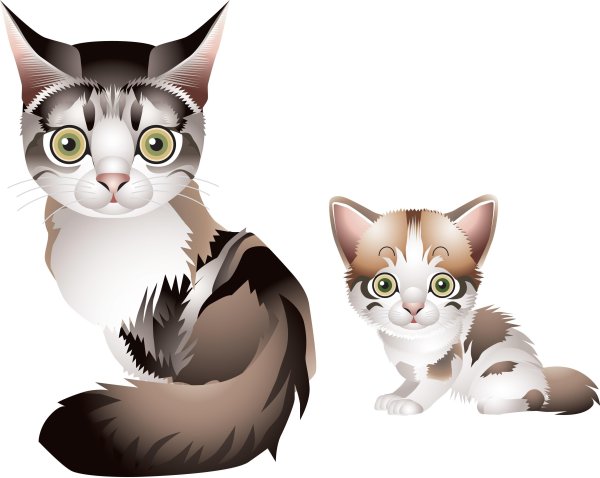 Кошка и котенок вектор