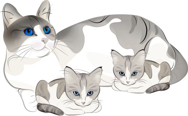 Кошка и котенок на белом фоне