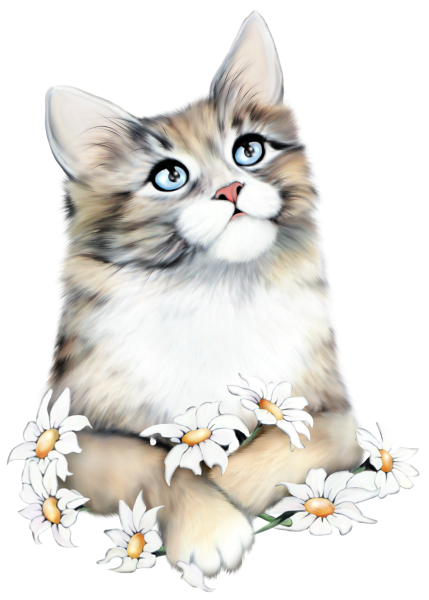 Кошка на прозрачном фоне