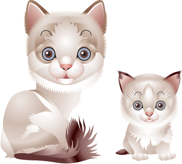 Кошка большой маленький