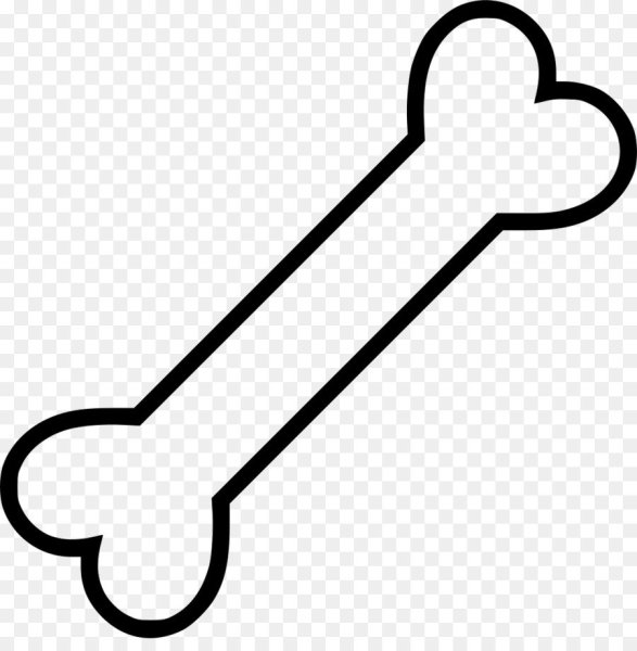 Кость рисунок