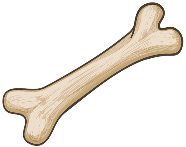 Косточка на прозрачном фоне