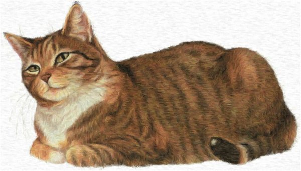 Кошка для дошкольников