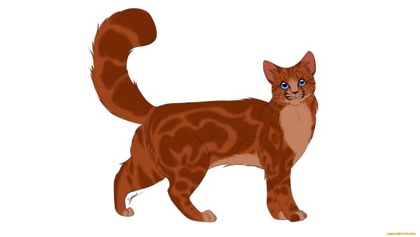 Кошка на прозрачном фоне для ДНТЕ