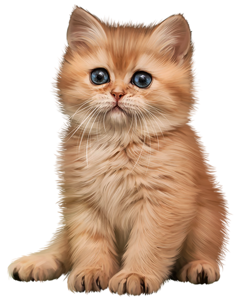 Милые котята на белом фоне