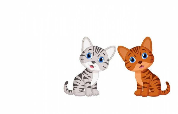 Котенок на белом фоне для детей