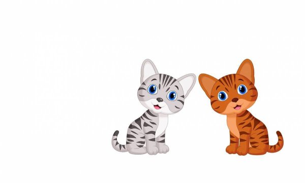 Котенок для детей на прозрачном фоне