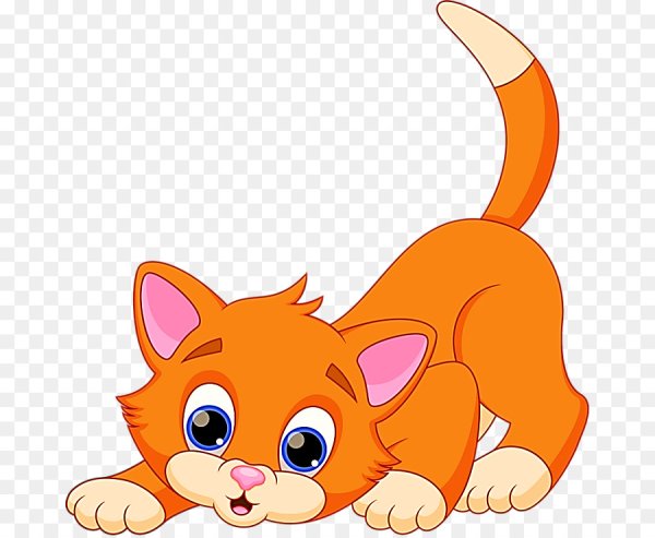 Фото cartoon Cat
