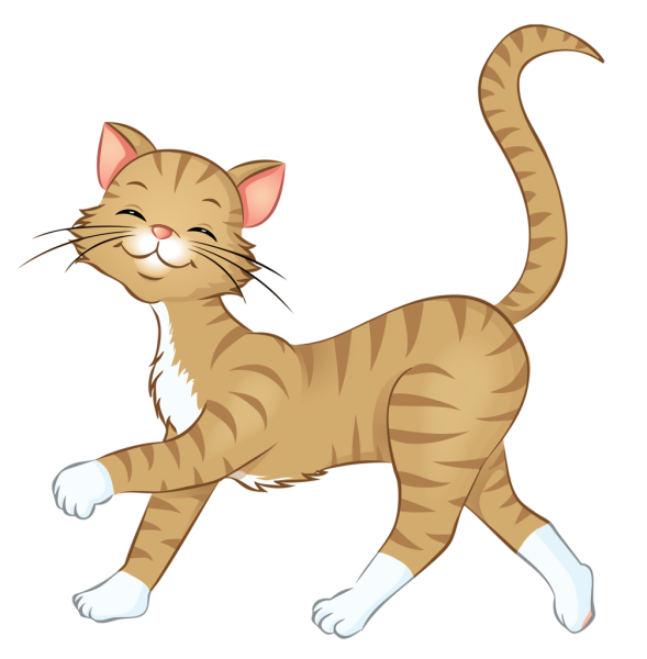 Кот на белом фоне мультяшный