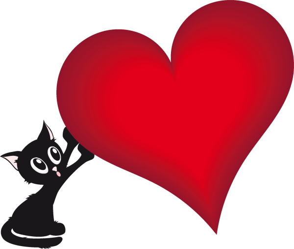 Кот с сердечками