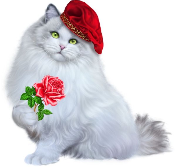 Кот с цветами на прозрачном фоне