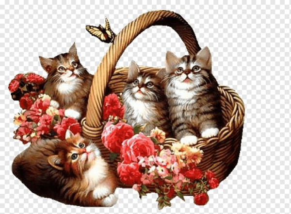 Котик с корзинкой цветов