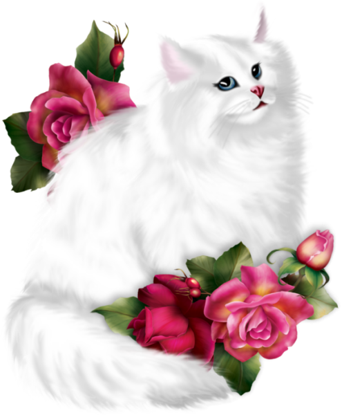 Кошка с цветами на прозрачном фоне